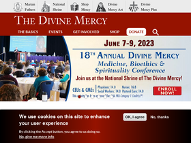 'thedivinemercy.org' screenshot