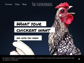 'thefeatherbrain.com' screenshot