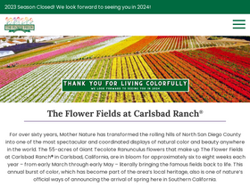'theflowerfields.com' screenshot
