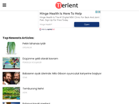 'tierient.com' screenshot