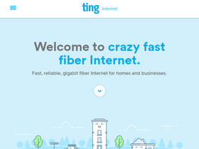 'ting.com' screenshot