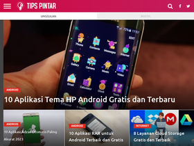 'tipspintar.com' screenshot