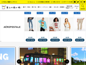 'toyama-asbb.com' screenshot
