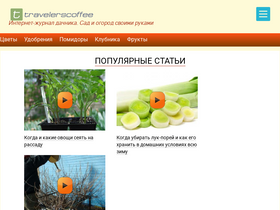 'travelerscoffee.ru' screenshot
