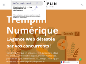'tremplin-numerique.org' screenshot