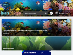 'tropicalfishkeeping.com' screenshot