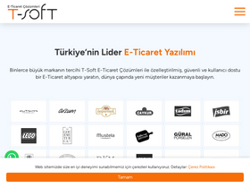 'tsoft.com.tr' screenshot