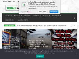 'tudasfaja.com' screenshot