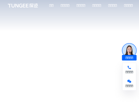 'tungee.com' screenshot