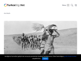 'turkcebilgi.org' screenshot