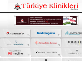 'turkiyeklinikleri.com' screenshot