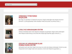 'turksexhikayeleri.com' screenshot