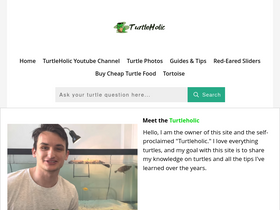 'turtleholic.com' screenshot