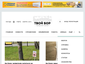 'tvoy-bor.ru' screenshot