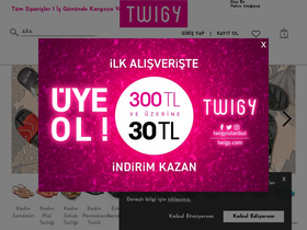 'twigy.com' screenshot