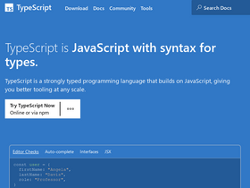 'typescriptlang.org' screenshot
