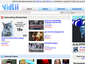 'vidlii.com' screenshot