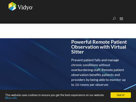 'vidyo.com' screenshot
