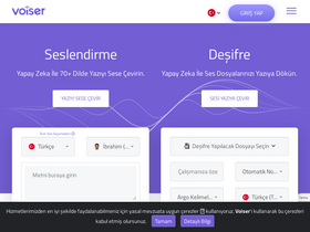 'voiser.net' screenshot