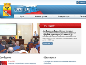 'voronezh-city.ru' screenshot