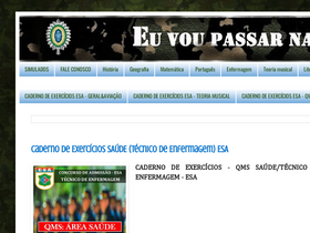 'voupassarnaesa.blogspot.com' screenshot