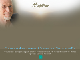 'voyance-spirituelle.com' screenshot
