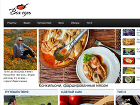 'vsyasol.ru' screenshot