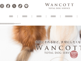 'wancott.com' screenshot