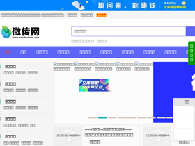 'weizhuannet.com' screenshot