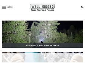 'wellrigged.com' screenshot