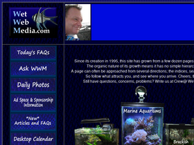 'wetwebmedia.com' screenshot