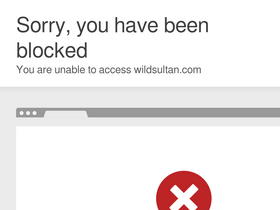 'wildsultan.com' screenshot