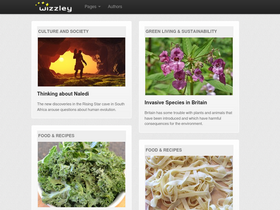 'wizzley.com' screenshot