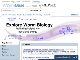 'wormbase.org' screenshot