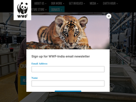 'wwfindia.org' screenshot