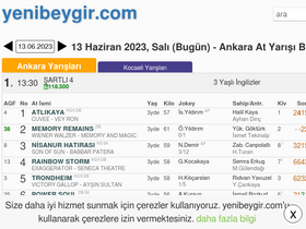 'yenibeygir.com' screenshot
