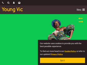 'youngvic.org' screenshot