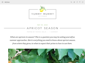 'yummymummykitchen.com' screenshot