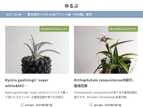 'yurupu.com' screenshot
