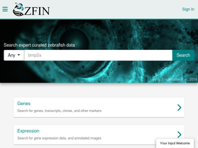 'zfin.org' screenshot