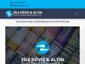 'ziledoviz.com.tr' screenshot