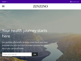 'zinzinotest.com' screenshot