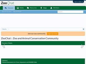 'zoochat.com' screenshot