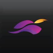 Robinhood Mobile App Ranking
